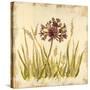 Meadow Grasses-Bella Dos Santos-Stretched Canvas