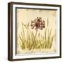 Meadow Grasses-Bella Dos Santos-Framed Art Print