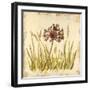 Meadow Grasses-Bella Dos Santos-Framed Art Print