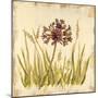 Meadow Grasses-Bella Dos Santos-Mounted Art Print