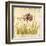 Meadow Grasses-Bella Dos Santos-Framed Art Print