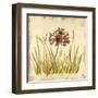 Meadow Grasses-Bella Dos Santos-Framed Art Print