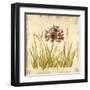 Meadow Grasses-Bella Dos Santos-Framed Art Print