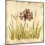 Meadow Grasses-Bella Dos Santos-Mounted Art Print