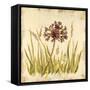 Meadow Grasses-Bella Dos Santos-Framed Stretched Canvas