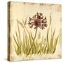 Meadow Grasses-Bella Dos Santos-Stretched Canvas