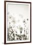 Meadow Haze - Neutral-Irene Suchocki-Framed Giclee Print