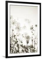 Meadow Haze - Neutral-Irene Suchocki-Framed Giclee Print