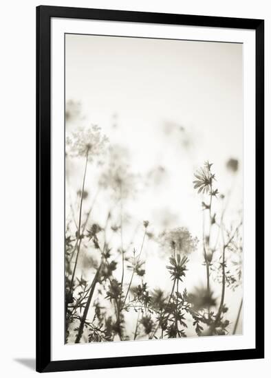 Meadow Haze - Neutral-Irene Suchocki-Framed Giclee Print