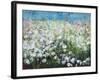 Meadow Haze-Ann Oram-Framed Giclee Print