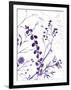 Meadow I-Irina Trzaskos Studio-Framed Premium Giclee Print