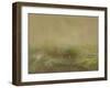 Meadow III-Sharon Gordon-Framed Art Print