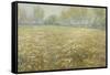 Meadow in Bloom, 1913-Egbert Rubertus Derk Schaap-Framed Stretched Canvas