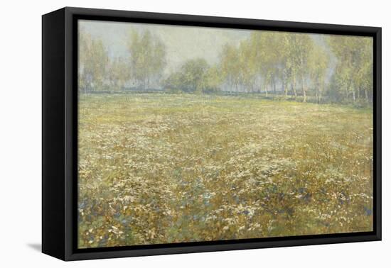 Meadow in Bloom, 1913-Egbert Rubertus Derk Schaap-Framed Stretched Canvas