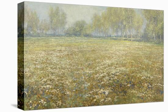 Meadow in Bloom, 1913-Egbert Rubertus Derk Schaap-Stretched Canvas