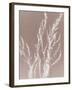 Meadow in Grey-Sarah Cheyne-Framed Giclee Print
