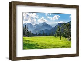 Meadow in Rocky Mountain National Park-juliannafunk-Framed Photographic Print