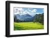 Meadow in Rocky Mountain National Park-juliannafunk-Framed Photographic Print