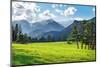 Meadow in Rocky Mountain National Park-juliannafunk-Mounted Photographic Print