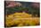 Meadow in Rocky Mountains in autumn.-Larry Ditto-Stretched Canvas