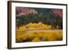 Meadow in Rocky Mountains in autumn.-Larry Ditto-Framed Photographic Print