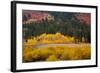 Meadow in Rocky Mountains in autumn.-Larry Ditto-Framed Photographic Print