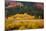 Meadow in Rocky Mountains in autumn.-Larry Ditto-Mounted Photographic Print