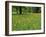 Meadow in Spring Time, Karwendel, Bavaria, Germany-Thorsten Milse-Framed Photographic Print