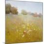 Meadow in Summer-Scott Clifton-Mounted Art Print