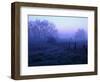 Meadow in the Morning Mist-Bruce Burkhardt-Framed Photographic Print