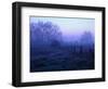 Meadow in the Morning Mist-Bruce Burkhardt-Framed Photographic Print