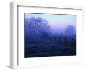 Meadow in the Morning Mist-Bruce Burkhardt-Framed Photographic Print