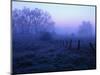 Meadow in the Morning Mist-Bruce Burkhardt-Mounted Photographic Print