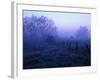 Meadow in the Morning Mist-Bruce Burkhardt-Framed Photographic Print