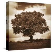 Meadow Land I-Bill Philip-Stretched Canvas