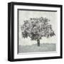 Meadow Land VI-Bill Philip-Framed Giclee Print