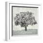 Meadow Land VI-Bill Philip-Framed Giclee Print