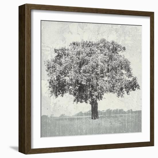 Meadow Land VI-Bill Philip-Framed Giclee Print
