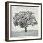 Meadow Land VI-Bill Philip-Framed Giclee Print