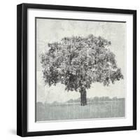 Meadow Land VI-Bill Philip-Framed Giclee Print