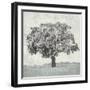 Meadow Land VI-Bill Philip-Framed Giclee Print