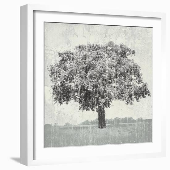 Meadow Land VI-Bill Philip-Framed Giclee Print