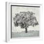 Meadow Land VI-Bill Philip-Framed Giclee Print