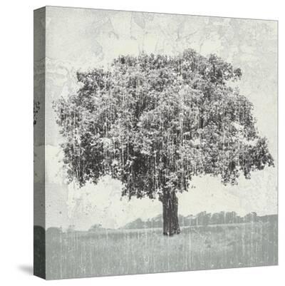 'Meadow Land VI' Stretched Canvas Print Bill Philip