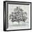 Meadow Land VII-Bill Philip-Framed Giclee Print