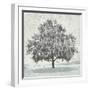 Meadow Land VII-Bill Philip-Framed Giclee Print