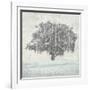 Meadow Land VIII-Bill Philip-Framed Giclee Print