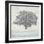 Meadow Land VIII-Bill Philip-Framed Giclee Print