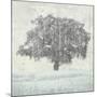 Meadow Land VIII-Bill Philip-Mounted Giclee Print
