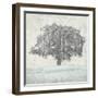 Meadow Land VIII-Bill Philip-Framed Giclee Print